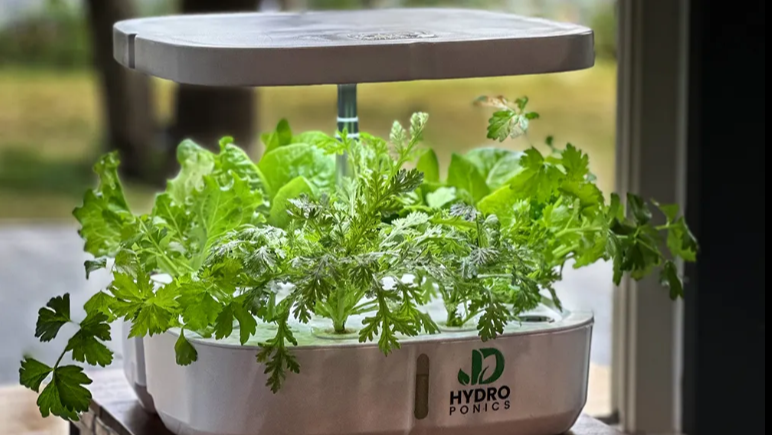 Hydroponický systém pro domácí pěstování – Inteligentní a snadné řešení