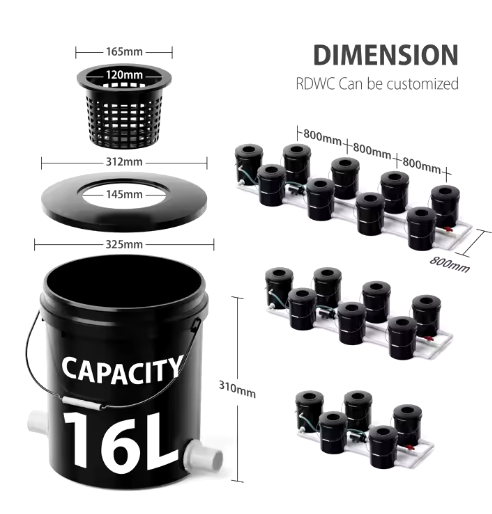 Hydroponický systém RDWC – Efektivní pěstování pro velké rostliny