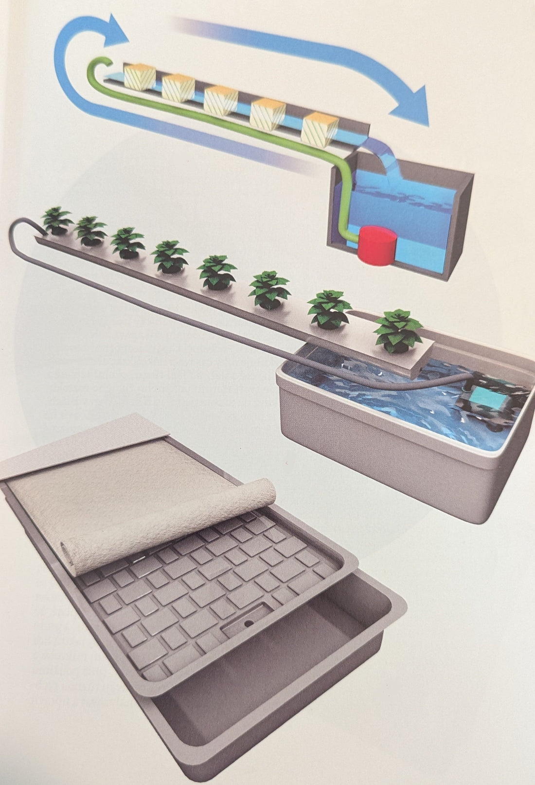 část 3. NFT Hydroponie: Metoda Živné Vrstvy pro Efektivní Pěstování