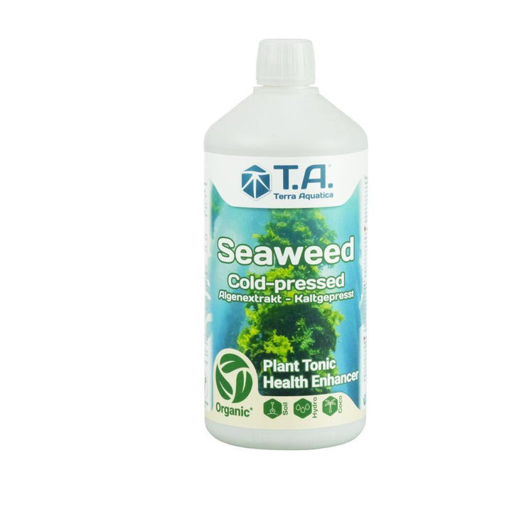 Mořské řasy v pěstování: Tajemství vitality přímo z oceánu 🌊🌿