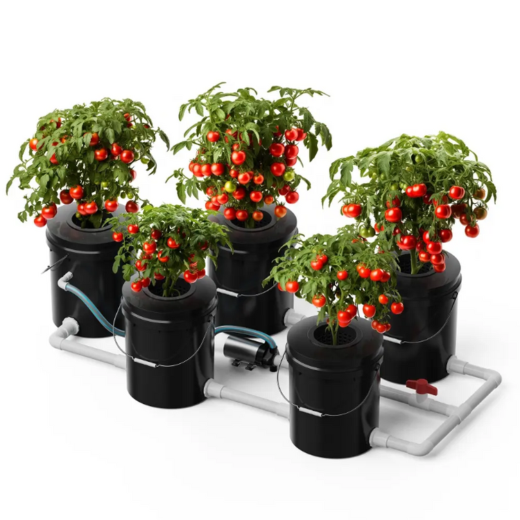 DWC Systém hluboké vody