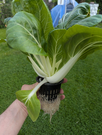 Hydroponická věž včetně osvětlení až 120 rostlin + Dárek zdarma Kniha " Hydroponie pro každého"