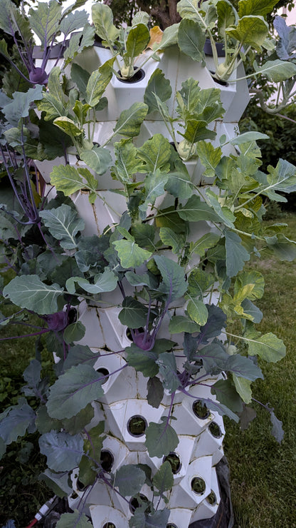 Hydroponická věž včetně osvětlení až 120 rostlin + Dárek zdarma Kniha " Hydroponie pro každého"