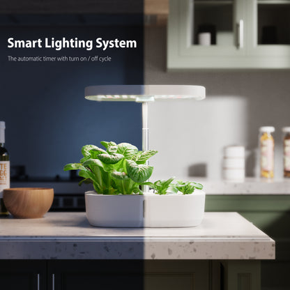 Hydroponický systém pro domácí pěstování – Inteligentní a snadné řešení