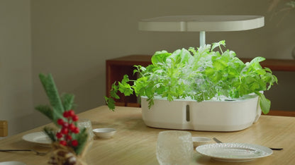 Hydroponický systém pro domácí pěstování – Inteligentní a snadné řešení